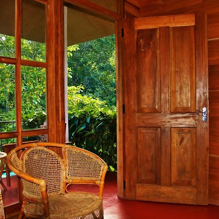 Green Cottage إيلا المظهر الخارجي الصورة