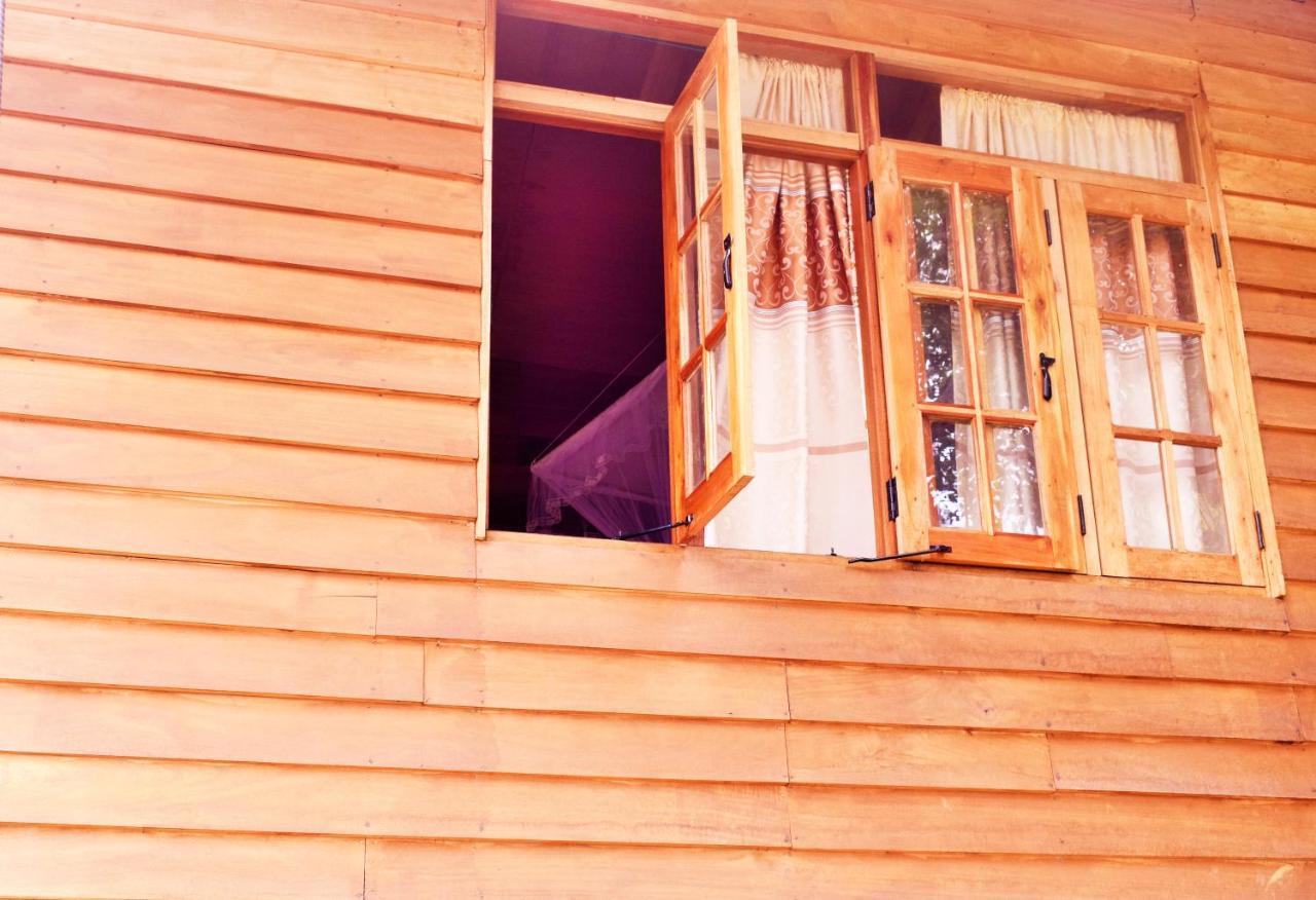 Green Cottage إيلا المظهر الخارجي الصورة
