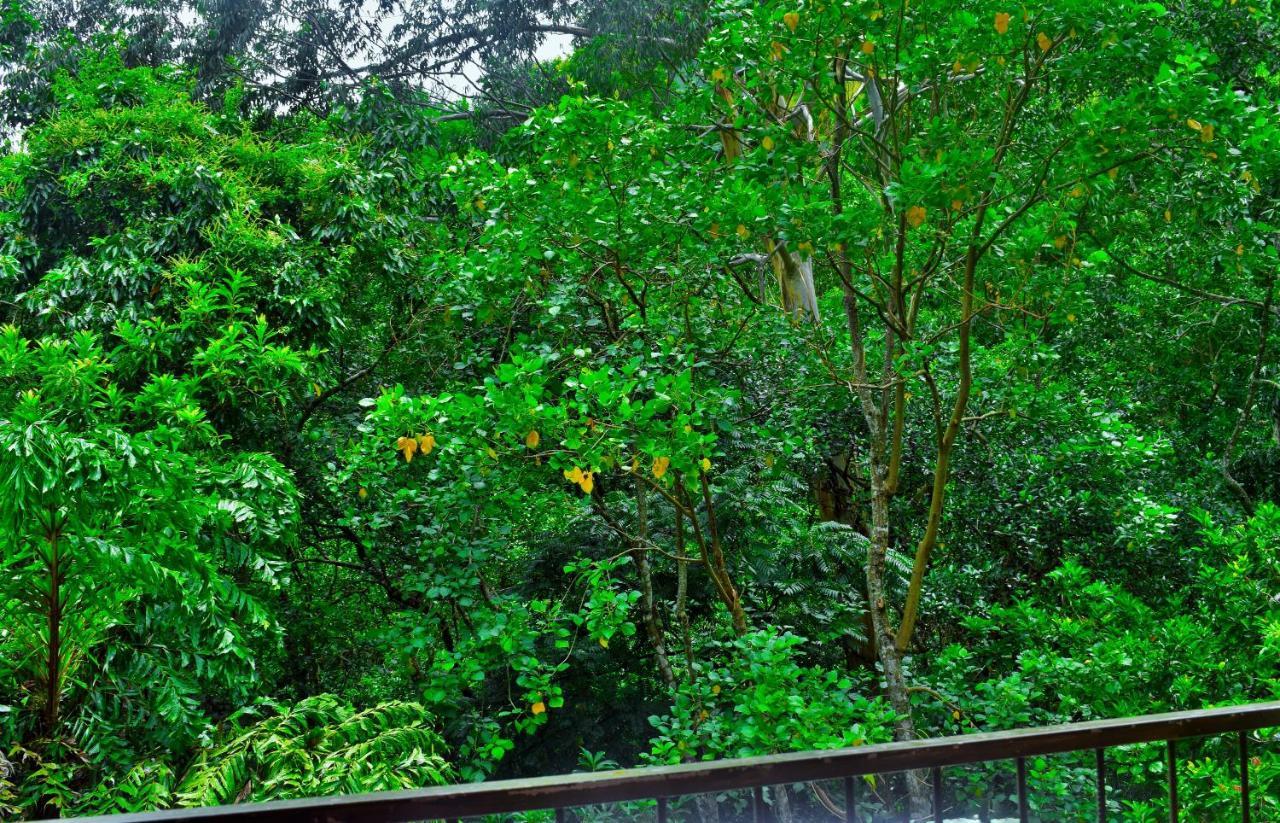 Green Cottage إيلا المظهر الخارجي الصورة