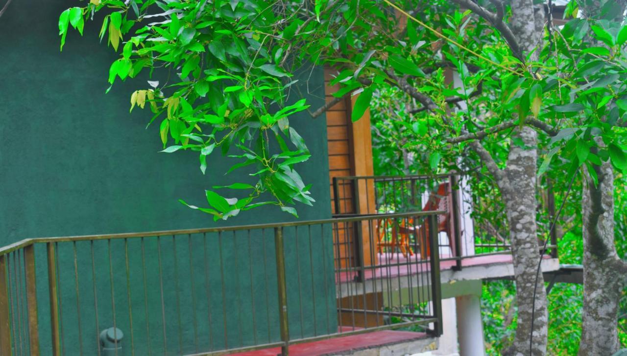 Green Cottage إيلا المظهر الخارجي الصورة