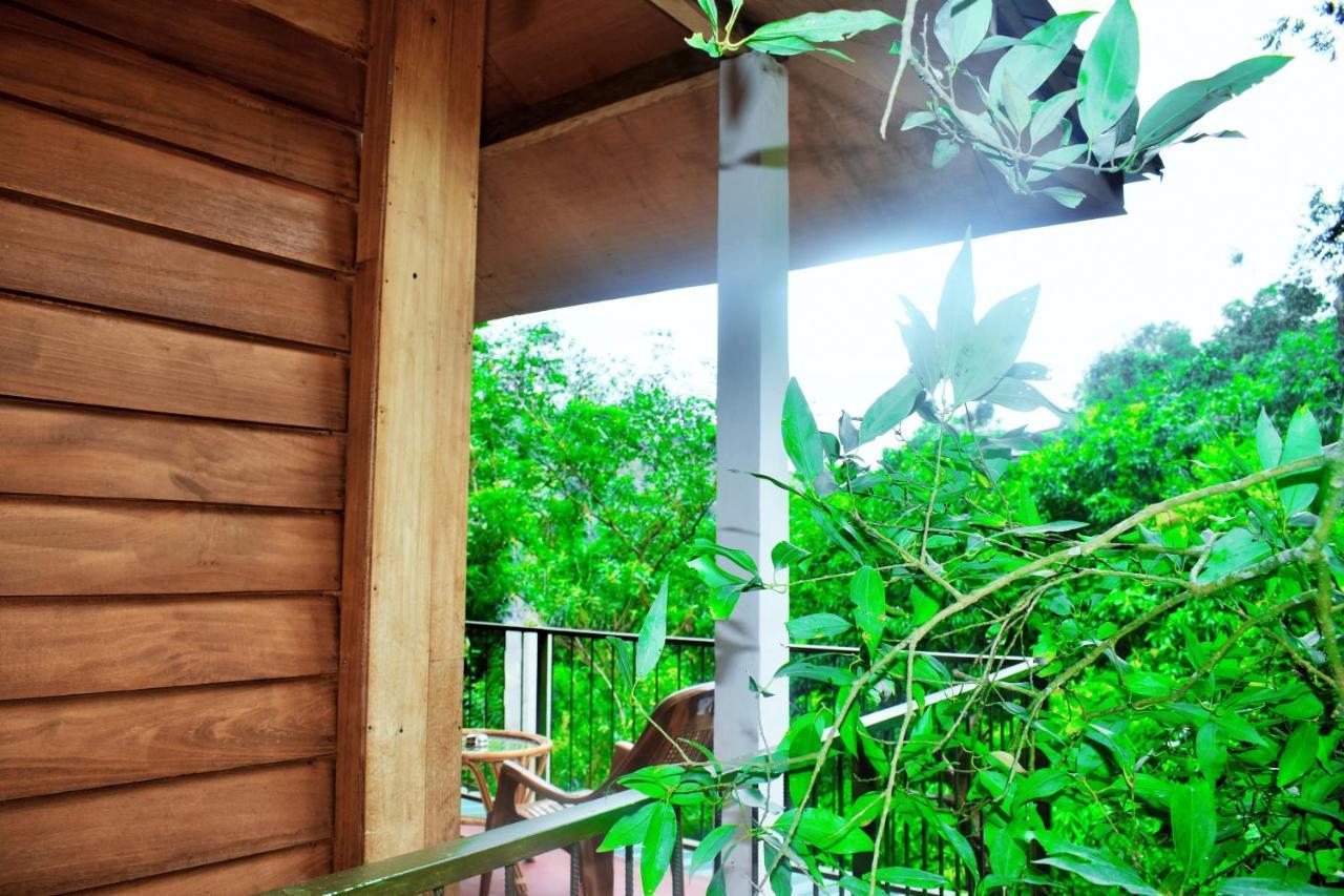 Green Cottage إيلا المظهر الخارجي الصورة