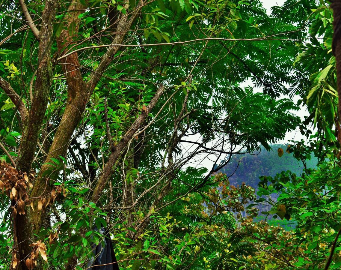 Green Cottage إيلا المظهر الخارجي الصورة