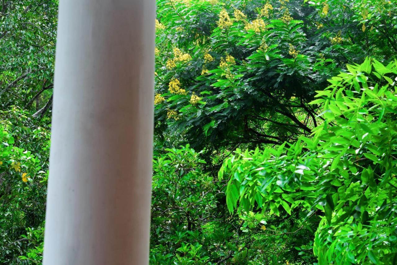 Green Cottage إيلا المظهر الخارجي الصورة