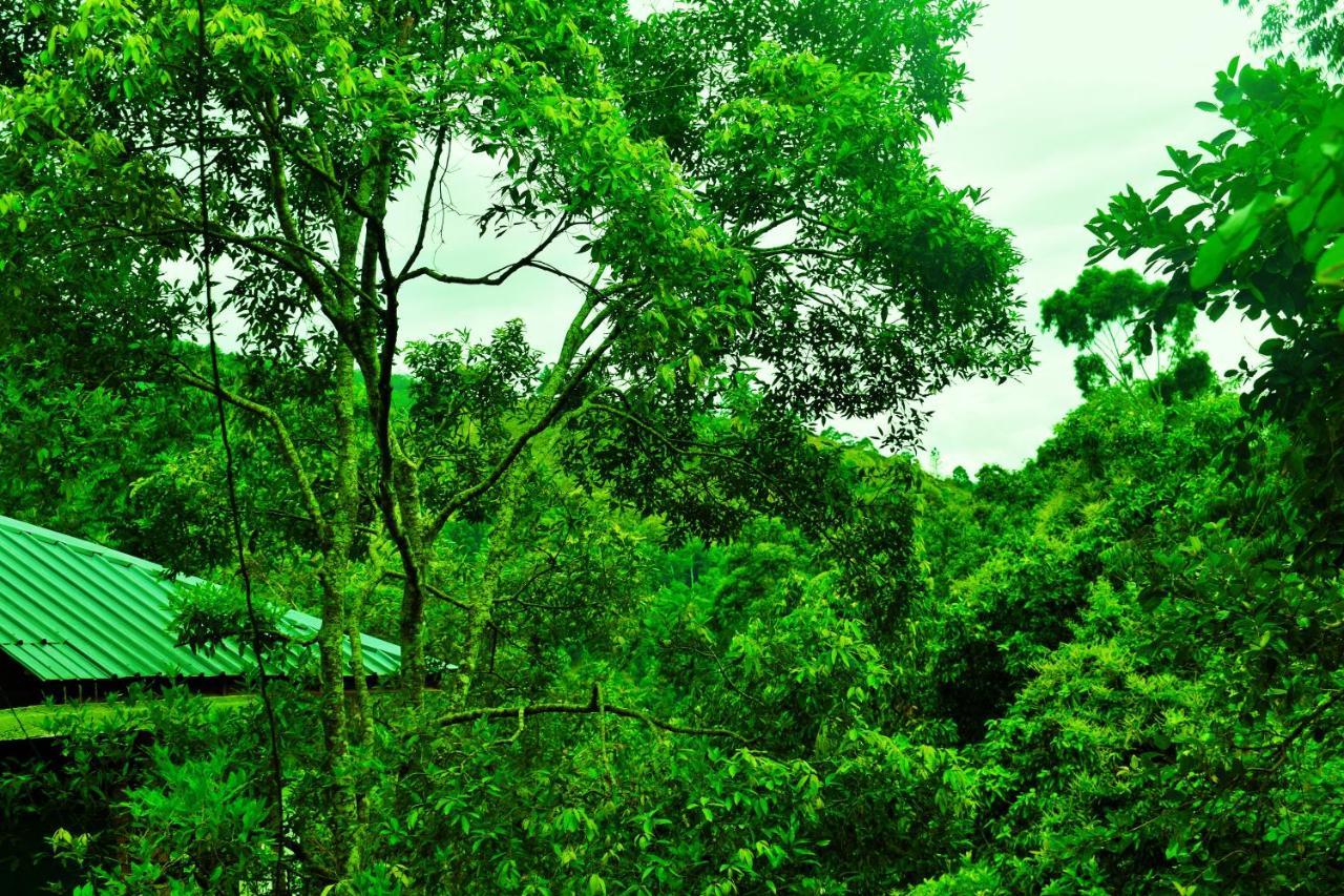 Green Cottage إيلا المظهر الخارجي الصورة