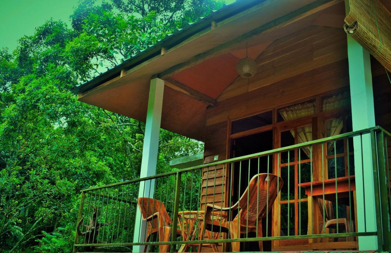 Green Cottage إيلا المظهر الخارجي الصورة