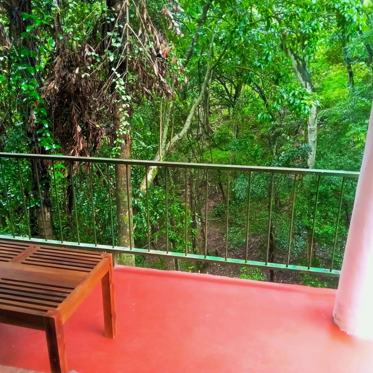 Green Cottage إيلا المظهر الخارجي الصورة